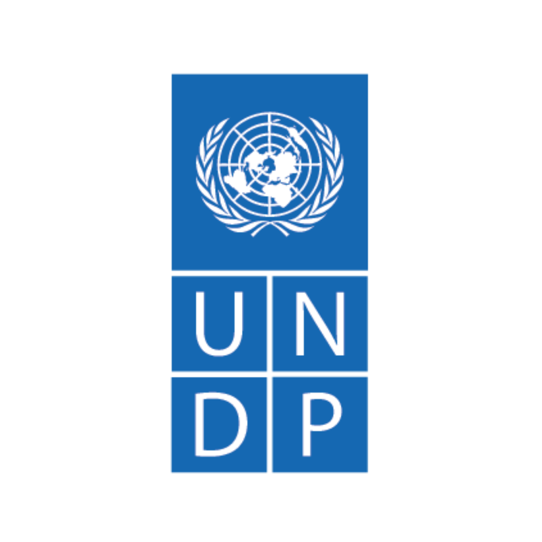 UNDP | Above Creative Events